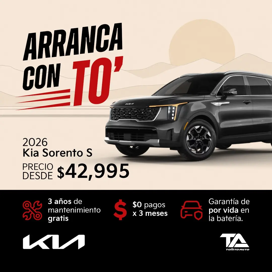 Nuestras ofertas